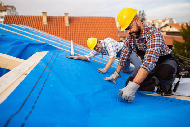 Best Roof Ventilation Installation  in Hinton, WV
